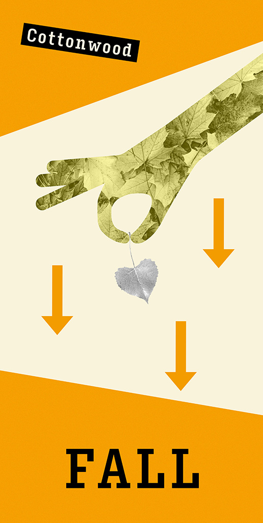 For this project we had to pick an artist and used their style of design and make 4 season posters. I picked Lester Bell, he has a very unique style.