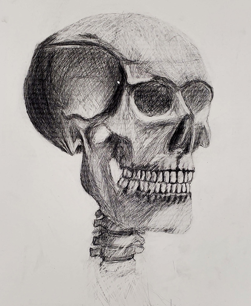 A skull draw only using crosshatching
