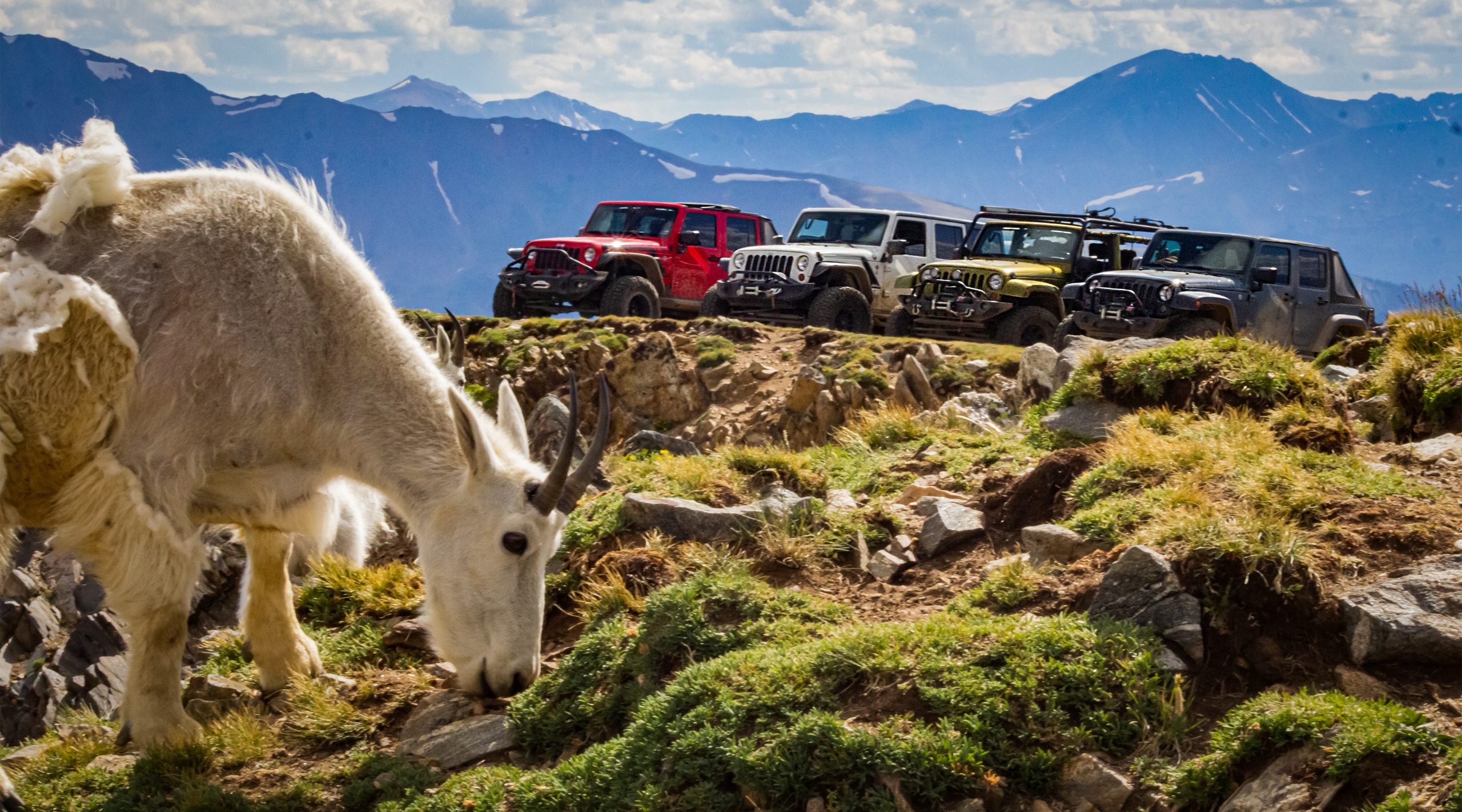 jeepgoat